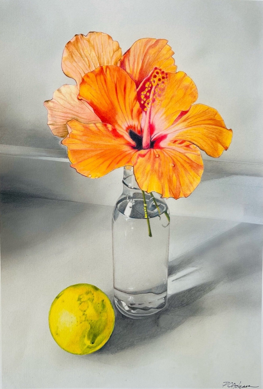 Botanical Series
