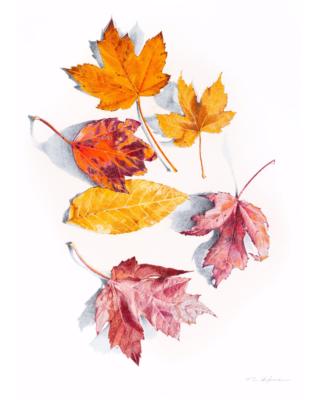 Autumn Leaves - Fine Art Giclee Print | Reclaimed Series
