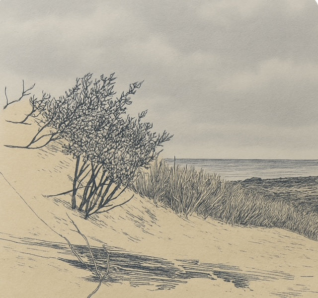 Montauk Dunes - Open Edition Fine Art Giclée Print | Water Series