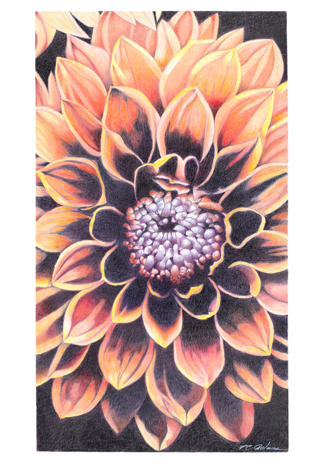 Ode to Georgia - Fine Art Giclee Print | Botanical Series